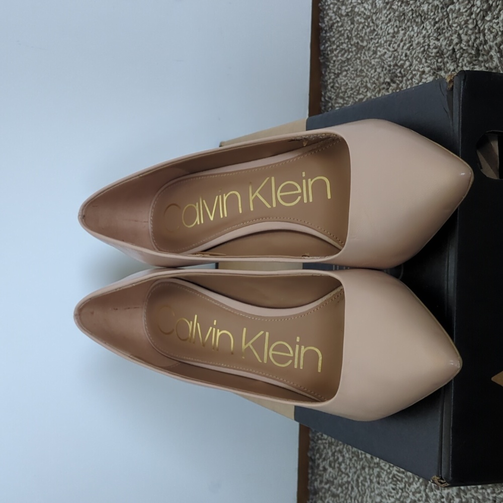 Calvin Klein Gayle Leather Stiletto Dress Pump Thistle Desert Sand, 6.5
